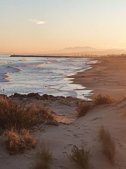 T2 Cosy A La Plage, Terrasse Vue Sur Mer Et Parking Privatif ناربون المظهر الخارجي الصورة