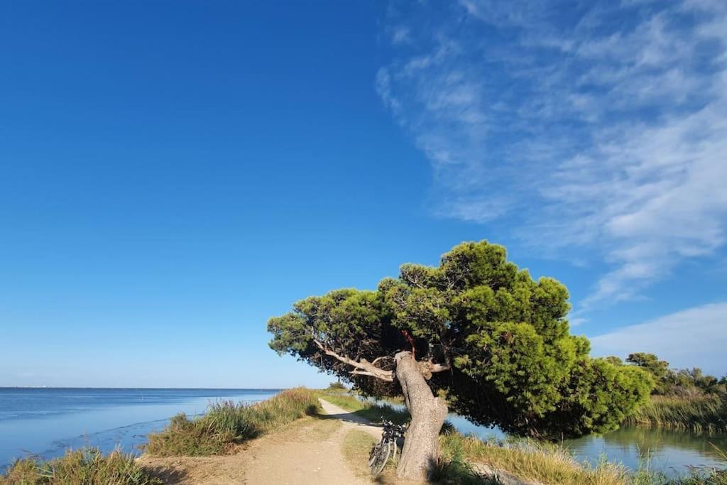 T2 Cosy A La Plage, Terrasse Vue Sur Mer Et Parking Privatif ناربون المظهر الخارجي الصورة
